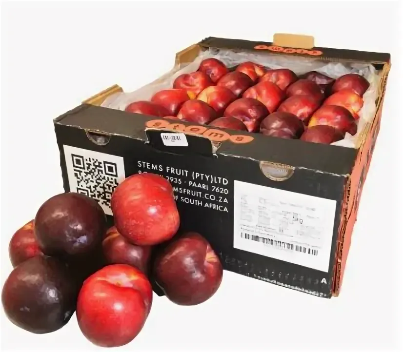 слива красная