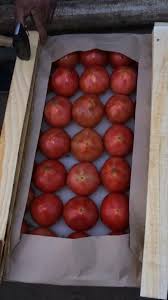 томат розовый