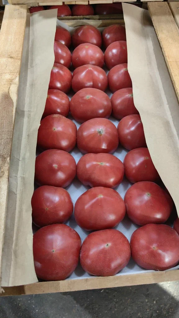 томат розовый