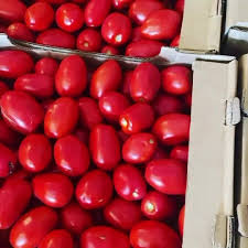 томат сливка красный