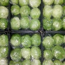 салат айсберг