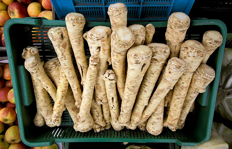 хрен корень