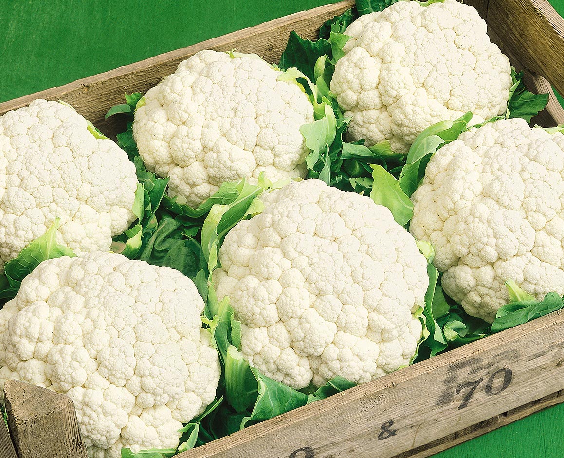 капуста цветная