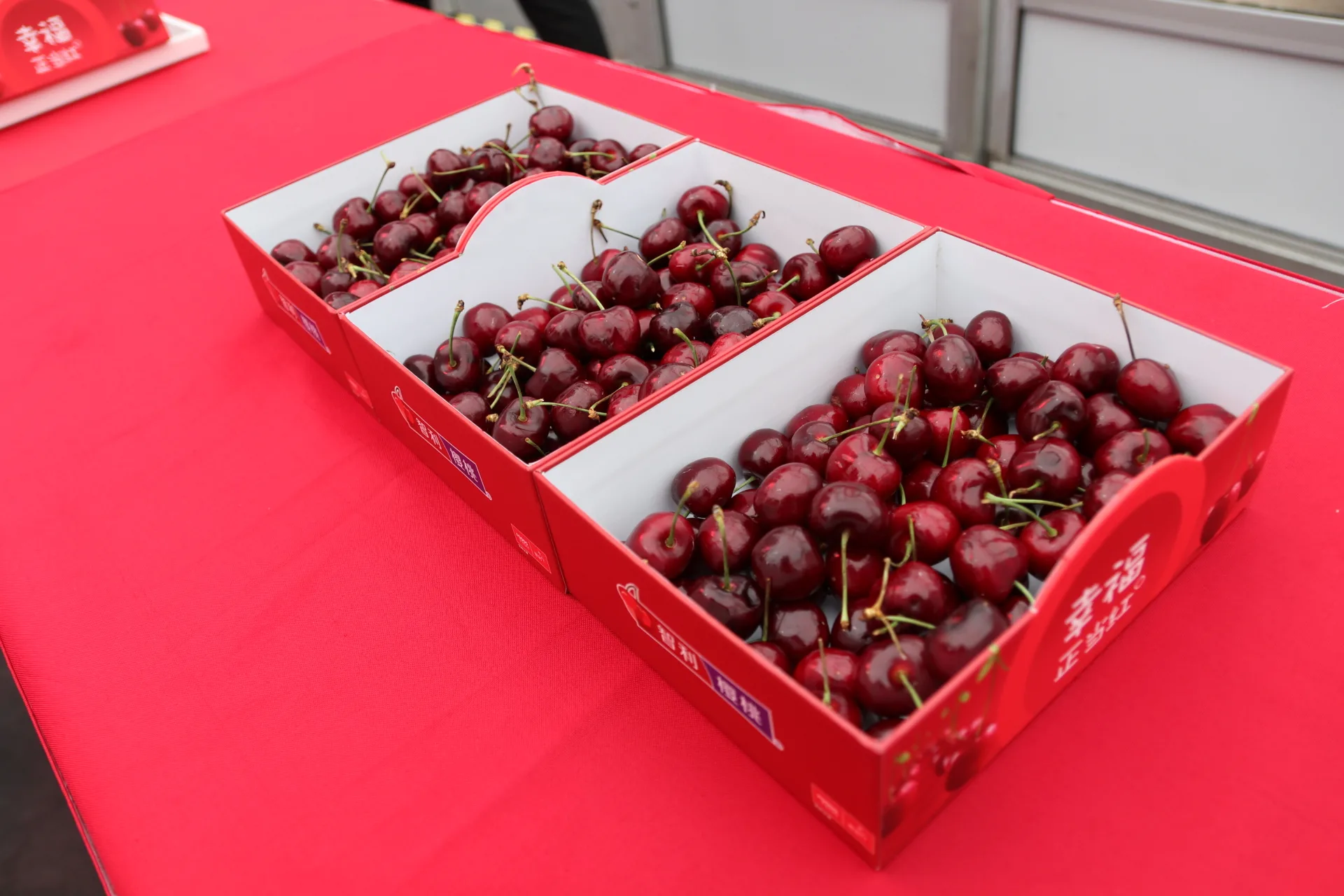 черешня черная