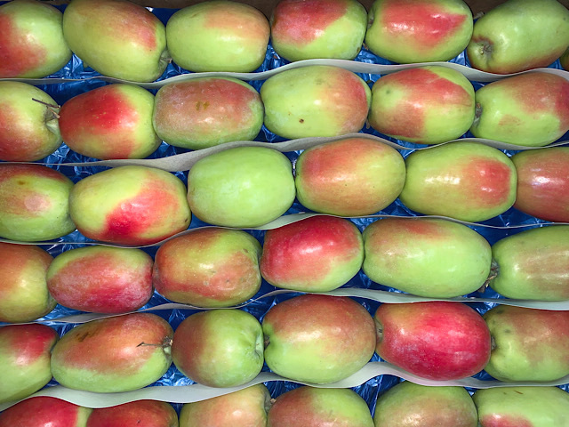 яблоко сезонное